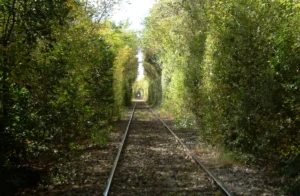 vt estacia la invernada